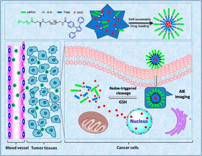 Recent Advance in Tumor Microenvironment-Based Stimuli-Responsive Nanoscale Drug Delivery and Imaging Platform